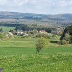 17. Zwei-Seen-Panorama-Erlebnislauf