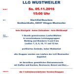 Einladung zum 14. Freundschaftslauf der LLG Wustweiler am 05.11.2016